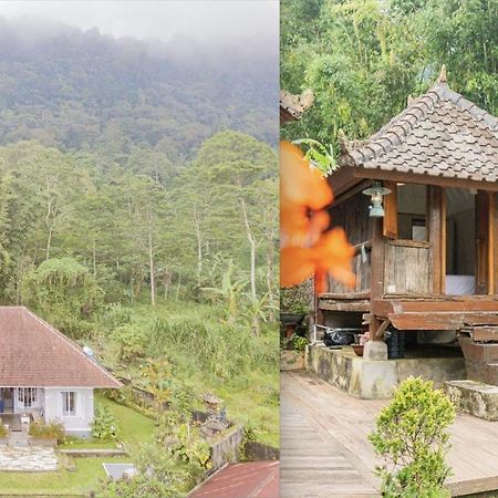 Four Monkeys House Villa Bedugul  Exteriör bild