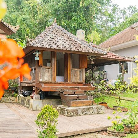 Four Monkeys House Villa Bedugul  Exteriör bild