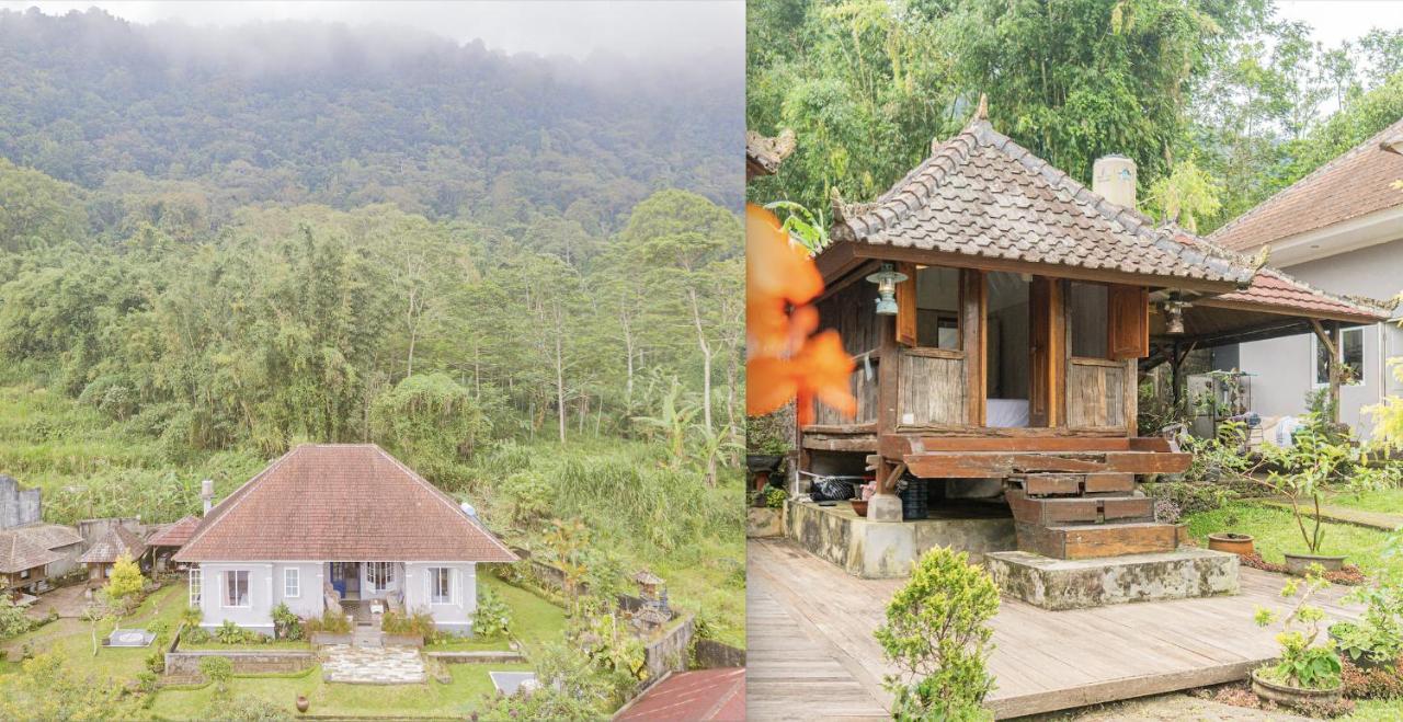 Four Monkeys House Villa Bedugul  Exteriör bild