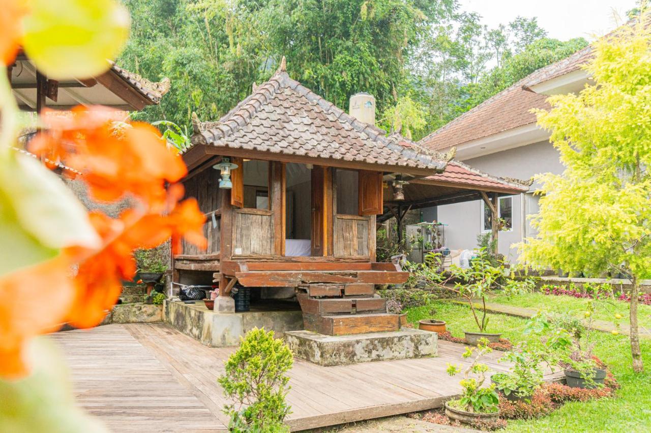Four Monkeys House Villa Bedugul  Exteriör bild