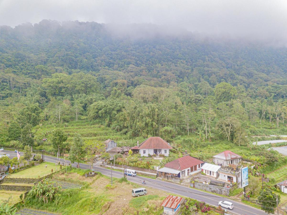 Four Monkeys House Villa Bedugul  Exteriör bild