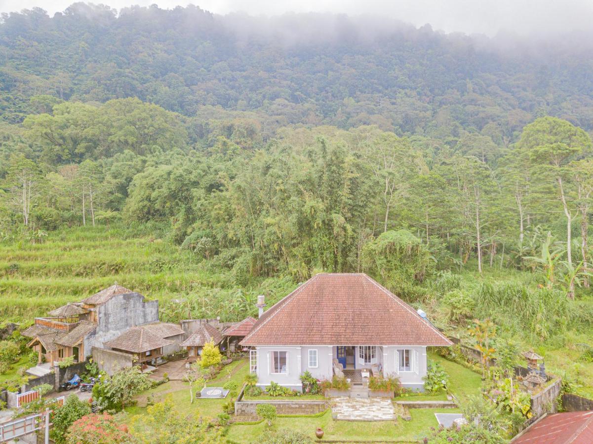 Four Monkeys House Villa Bedugul  Exteriör bild